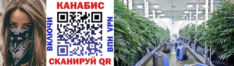 Купить закладки  Ишимбай  Каннабис SATIVA & INDICA 